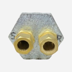 2" X 1/2" Duplex Tank Bushing With Fittings