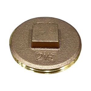 2 1/2" Raised-Head Brass Plug