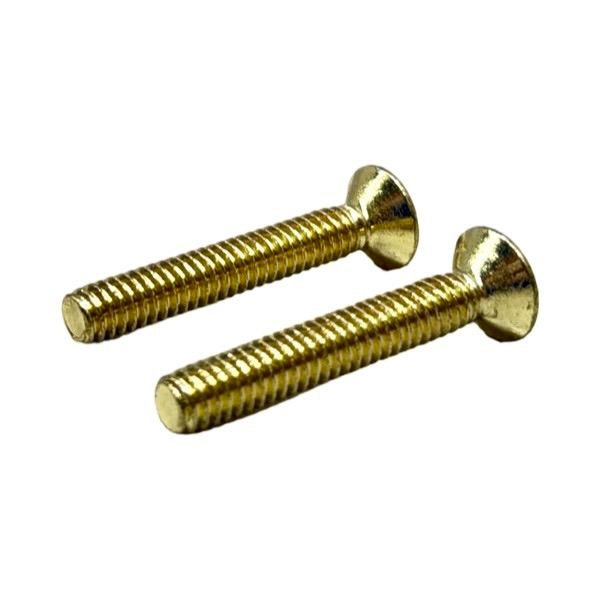 Polished Brass Face Plate Screws