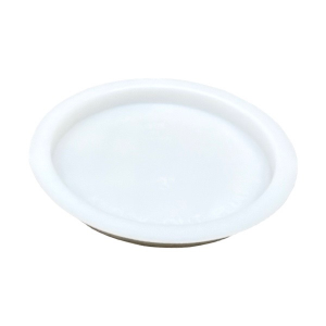 3" White PVC Knock-Out Test Cap