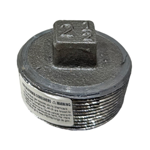 2 1/2" Lead Fitall Plug