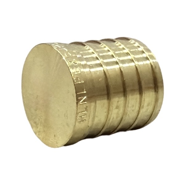 1" Brass PEX Plug (LF) - Crimp (F1807) Type
